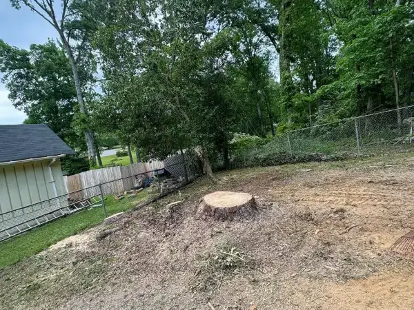 Stump Grinding