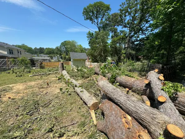 Tapia's Tree Experts and Landscaping LLC in Columbia's Other Services