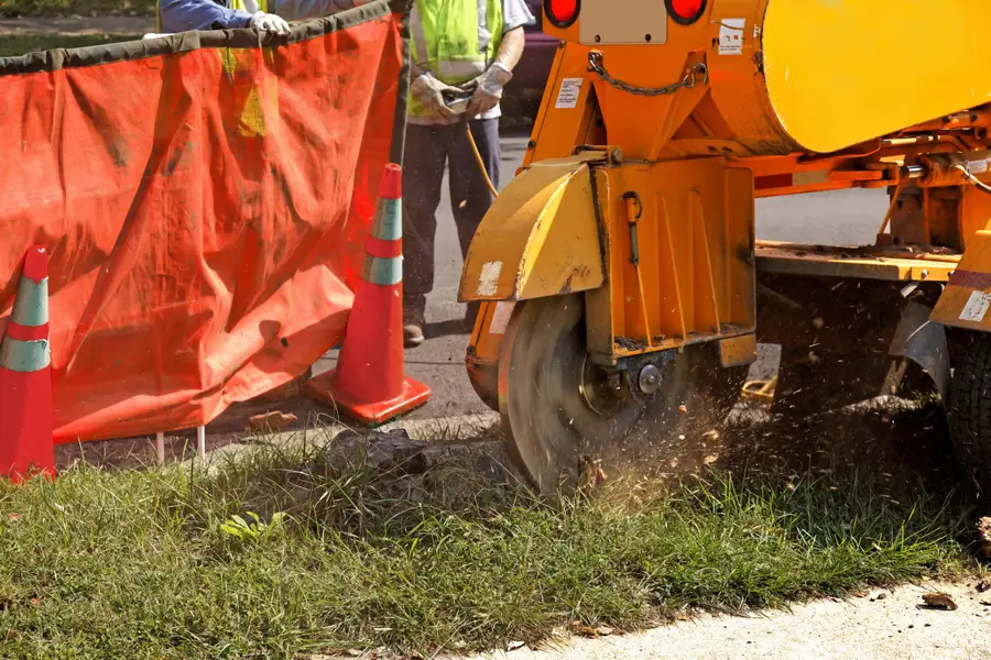 Experienced Stump Grinding Columbia, SC Experienced Stump Grinding Columbia, SC