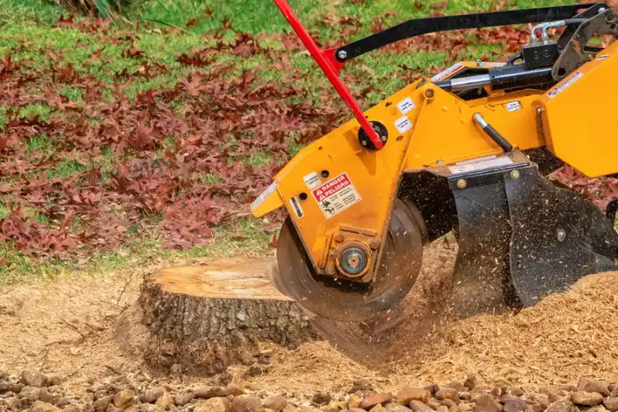 Quality Stump Grinding Columbia, SC Quality Stump Grinding Columbia, SC