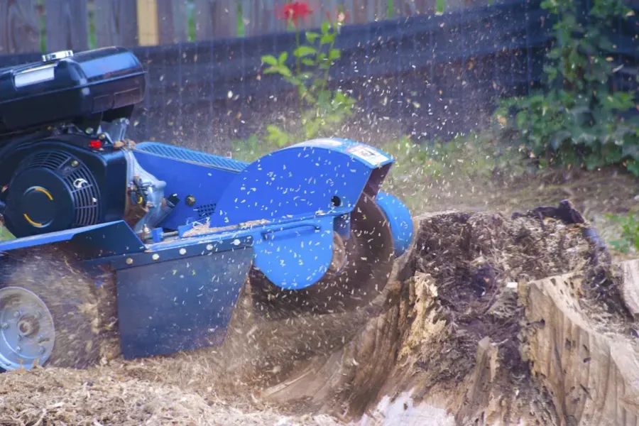 Reputable Stump Grinding Columbia, SC Reputable Stump Grinding Columbia, SC