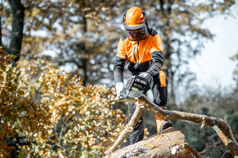 Tree Cutting Services For Managing Overgrown Trees Columbia, SC