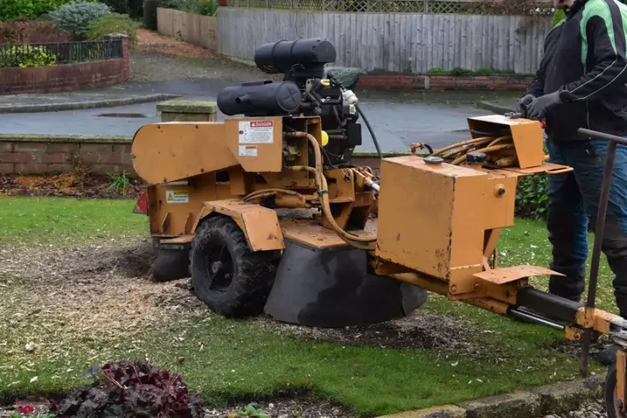 What To Expect After A Stump Grinding Service Columbia, SC